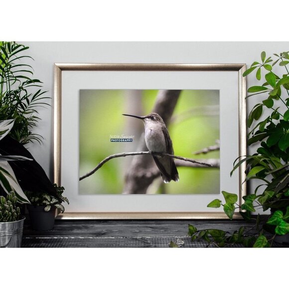 Hummingbird Gorgeous Oil Painting Art Photography Print - Picture 4 of 5
